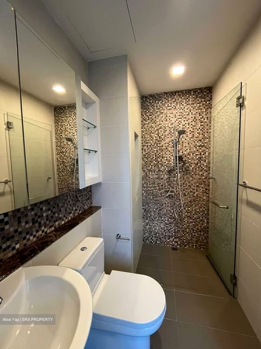 Radiance @ Bukit Timah (D21), Terrace #551954391